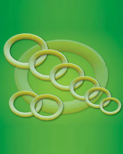 PTFE & PEEK Seals